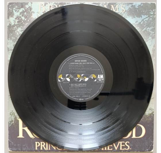 Bryan Adams - Robin Hood Prince Of Thieves