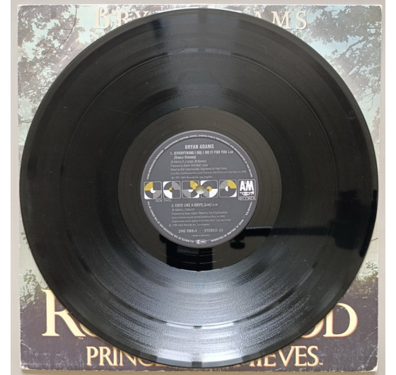 Bryan Adams - Robin Hood Prince Of Thieves
