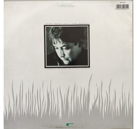 Chris Rea - Shamrock Diaries