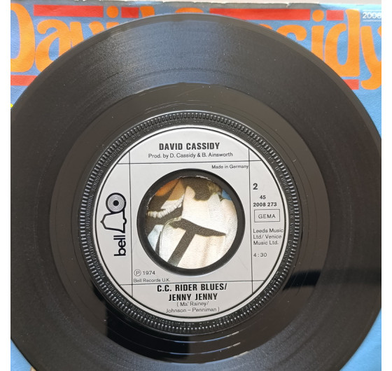 David Cassidy - Please Please Me (миньон 7)