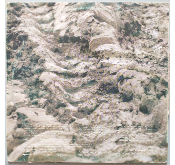 Edda Muvek - 2