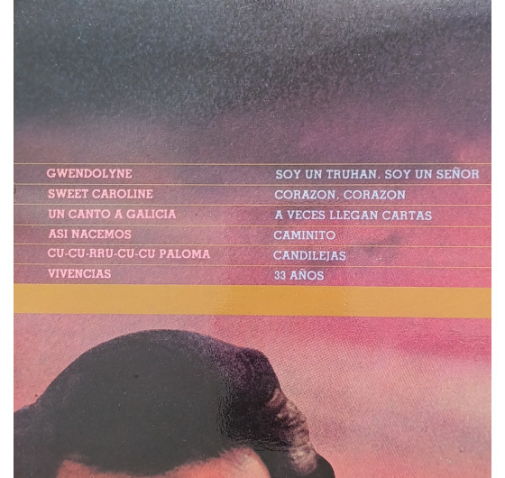 Julio Iglesias - 24 Exitos De Oro (2 LP)