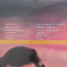Julio Iglesias - 24 Exitos De Oro (2 LP)