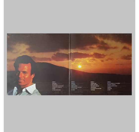 Julio Iglesias - 24 Exitos De Oro (2 LP)