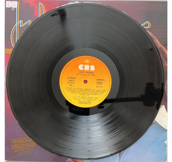 Julio Iglesias - 24 Exitos De Oro (2 LP)