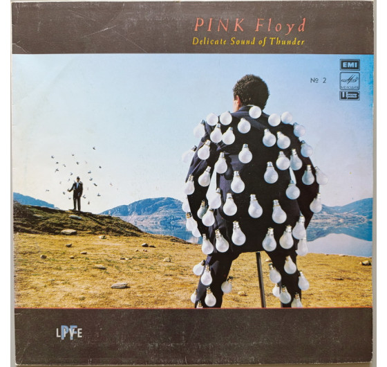 Pink Floyd - Delicate Sound Of Thunder № 2