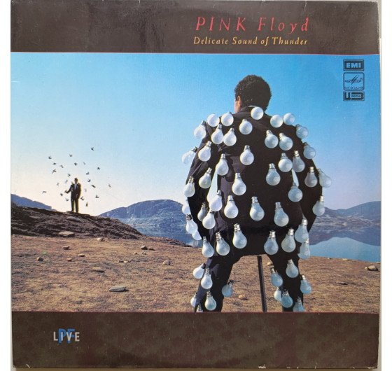 Pink Floyd - Delicate Sound Of Thunder (2 LP)