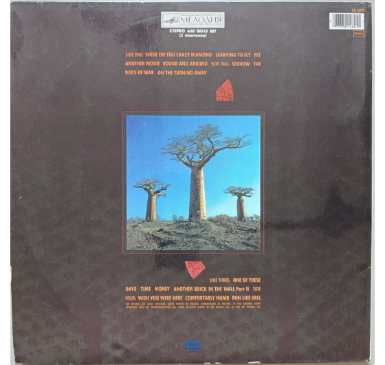 Pink Floyd - Delicate Sound Of Thunder (2 LP)
