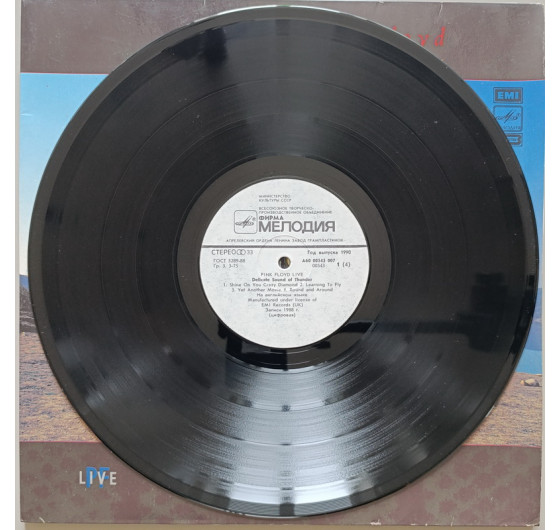 Pink Floyd - Delicate Sound Of Thunder (2 LP)