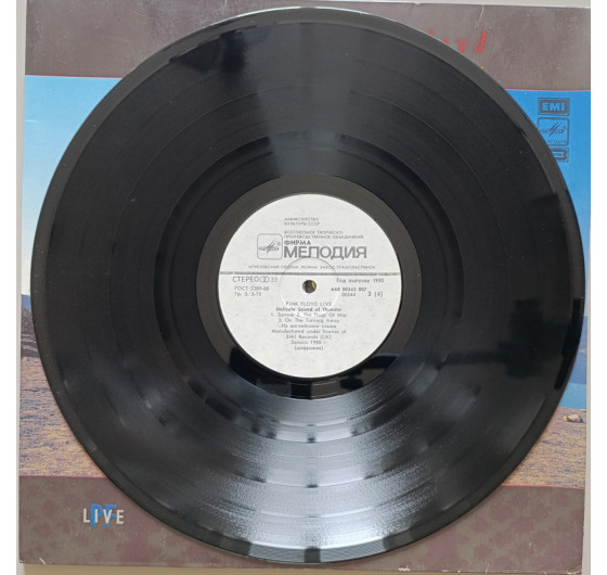 Pink Floyd - Delicate Sound Of Thunder (2 LP)