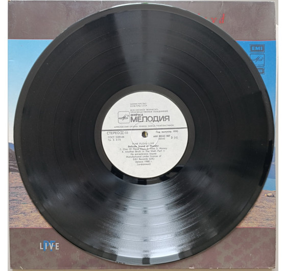 Pink Floyd - Delicate Sound Of Thunder (2 LP)