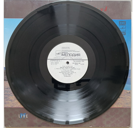 Pink Floyd - Delicate Sound Of Thunder (2 LP)