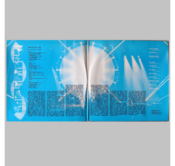 Pink Floyd - Delicate Sound Of Thunder (2 LP)