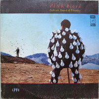 Pink Floyd - Delicate Sound Of Thunder (2 LP)
