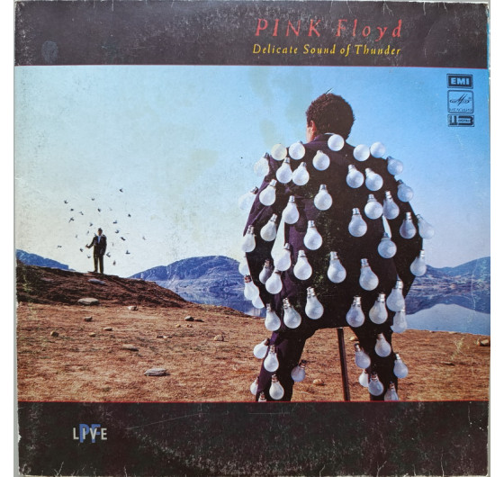 Pink Floyd - Delicate Sound Of Thunder (2 LP)