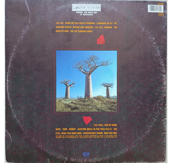 Pink Floyd - Delicate Sound Of Thunder (2 LP)