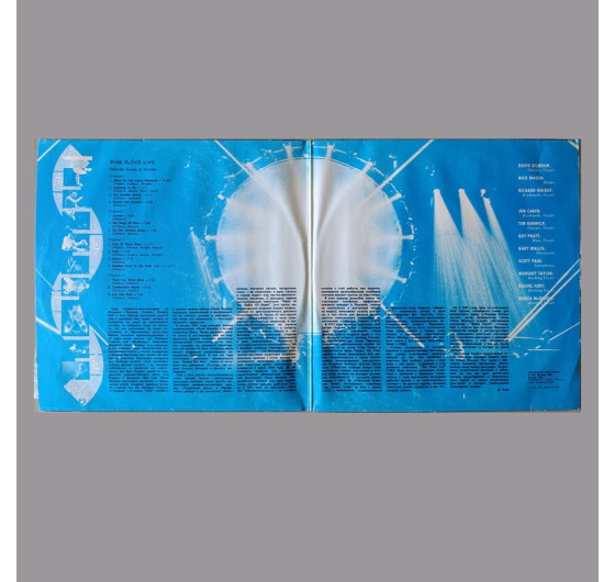 Pink Floyd - Delicate Sound Of Thunder (2 LP)