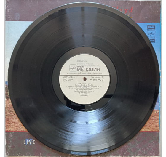 Pink Floyd - Delicate Sound Of Thunder (2 LP)