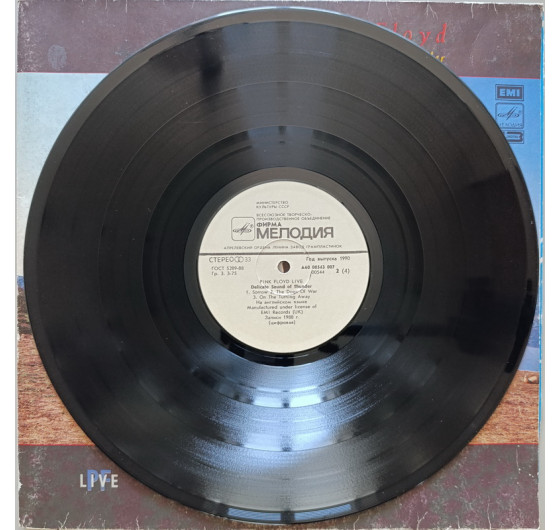 Pink Floyd - Delicate Sound Of Thunder (2 LP)