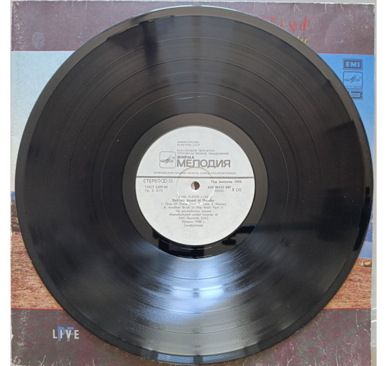 Pink Floyd - Delicate Sound Of Thunder (2 LP)