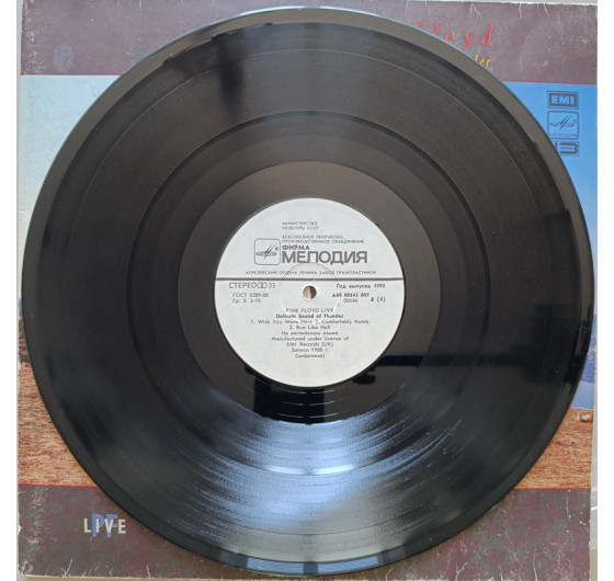 Pink Floyd - Delicate Sound Of Thunder (2 LP)