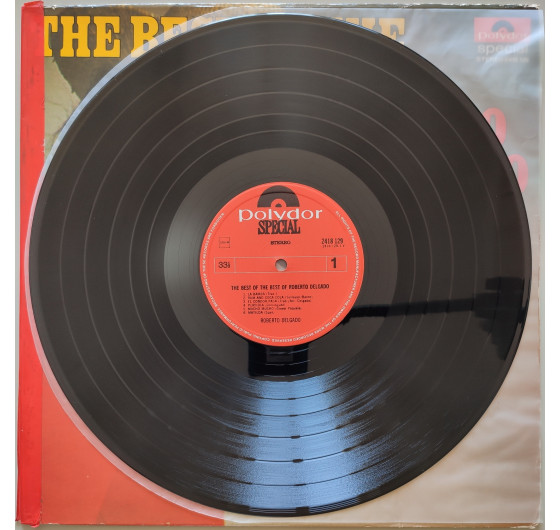 Roberto Delgado - The Best Of The Best