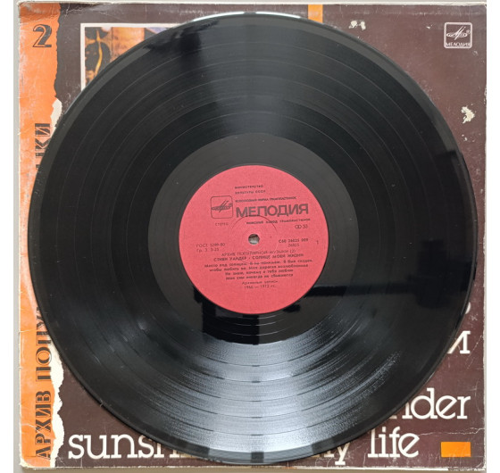 Stevie Wonder - Sunshine Of My Life