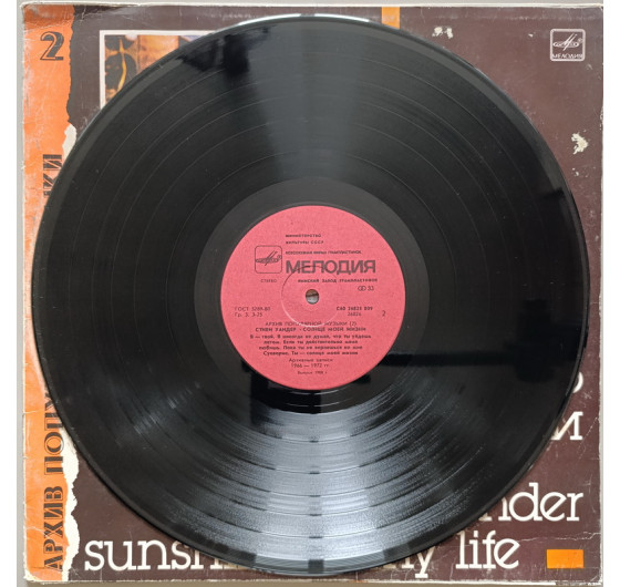 Stevie Wonder - Sunshine Of My Life